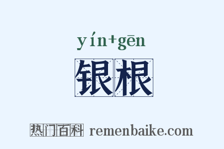银根是什么意思的图片
